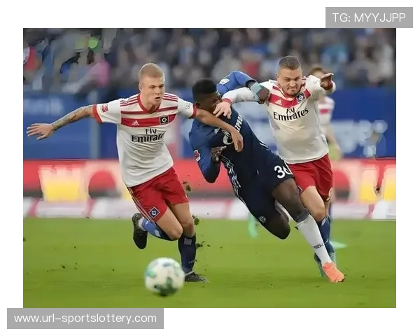 汉堡回归德甲首个赛季：从降级热门到中游稳定